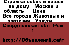 Стрижка собак и кошек на дому.  Москва и область.  › Цена ­ 1 200 - Все города Животные и растения » Услуги   . Свердловская обл.,Реж г.